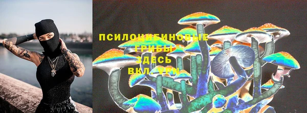 гидра Абинск