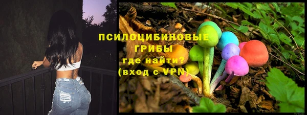 гидра Абинск